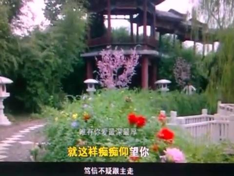 无怨无悔跟主走歌谱