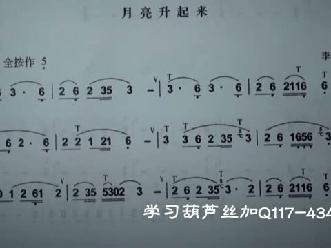 葫芦丝初学者视频教程 葫芦丝教程视频乐谱 葫芦丝教程视频