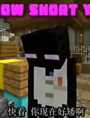 我的世界我是一只末影人