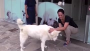 闷骚型小高中_1244美国利维男人嘉联盟图片