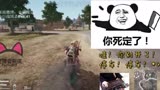 蜘蛛求生:萌新仓鼠王又把绝地坑死了,遇见不听话的队友?红玫瑰队友小亚成体图片